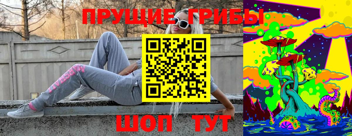 Менделеевск  Галлюциногенные грибы Psilocybine cubensis  Вход с VPN 